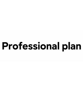 Professional Plan
